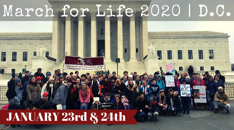 You are the light of the world... 1