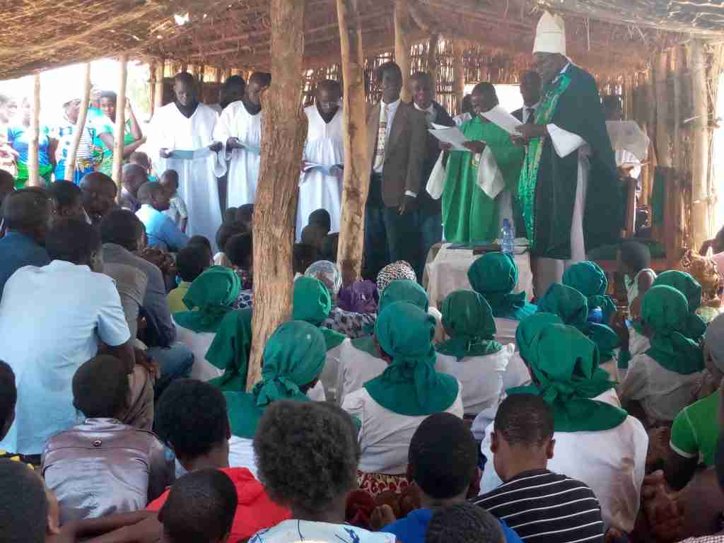 Update from Tanzania 5