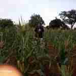 2020 Missions Offering 1 Nov 5