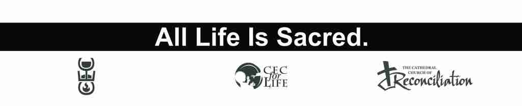 Liturgy & Mass for the Pre-Born